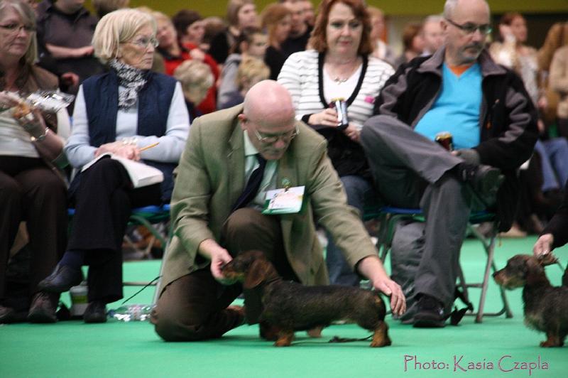 Crufts2011_2 1134.jpg